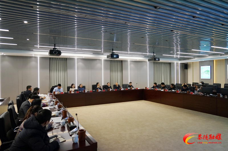 茶陵县国土空间总体规划（2020-2035）大纲专家咨询会召开