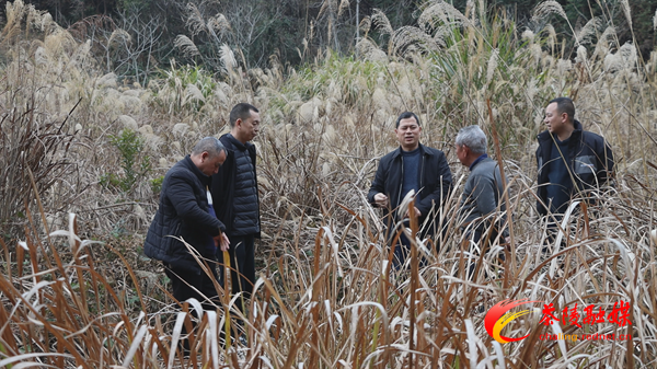 【委员风采】袁志明：立足村情实际 推动乡村振兴