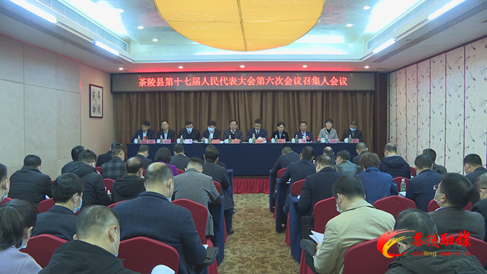 两会聚焦|茶陵县第十七届人民代表大会第六次会议：召集人会议举行