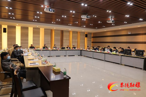 茶陵县2021年第二次规划委员会会议召开