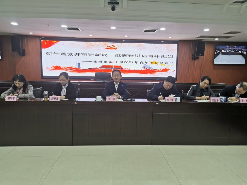 市审计局召开青年干部座谈