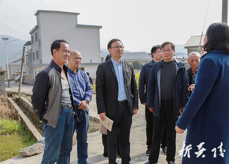 文专文在水口镇调研文化旅游和农业产业发展
