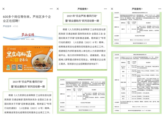 芦淞：就业援助暖民心，稳岗留工迎新春
