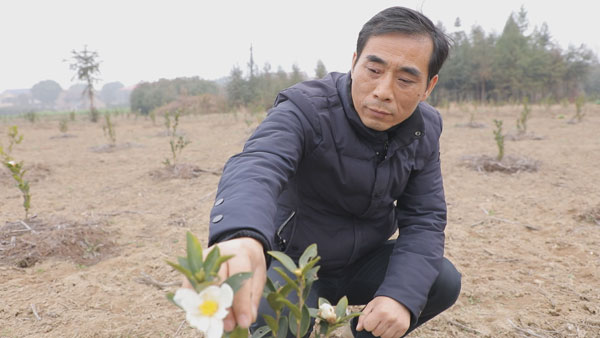 【代表风采】龙金元：不忘初心心系选民