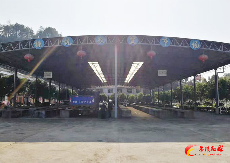 茶陵县林业局：开展清风行动 打击非法交易