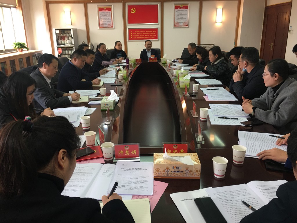 政协委员进行分组讨论 为荷塘发展建言献策