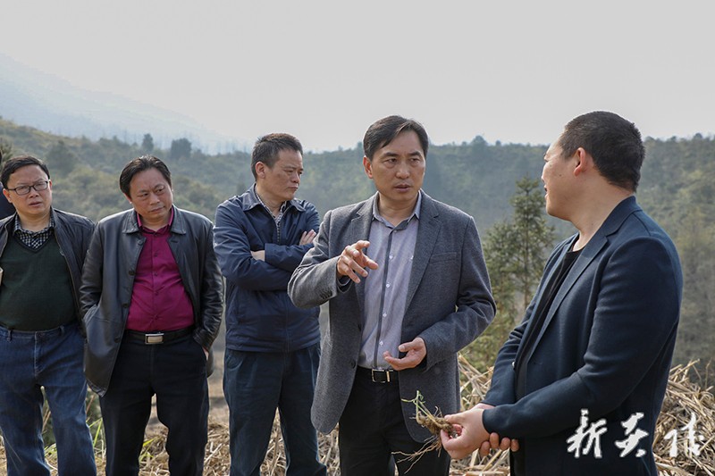 尹朝晖赴园区乡镇调研：突出问题导向、咬住关键环节 统筹推进“三基地”建设