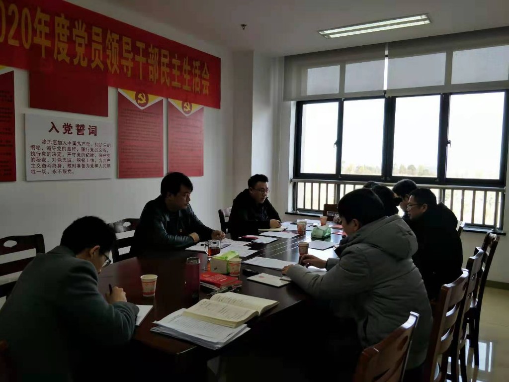 县金融办党支部召开2020年度组织生活会 暨民主评议党员会议
