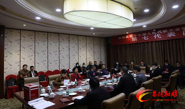 两会聚焦|茶陵县第十七届人民代表大会第六次会议：分代表团讨论 审查人大政府等工作报告