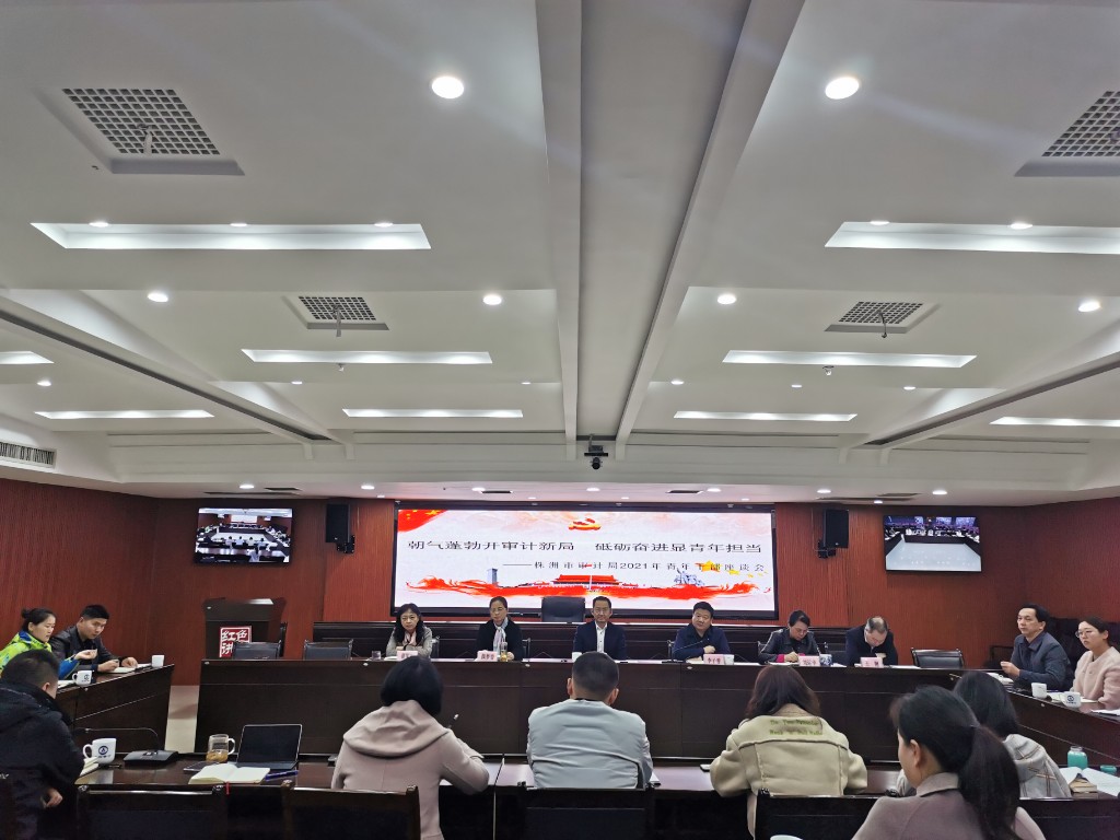 市审计局召开青年干部座谈