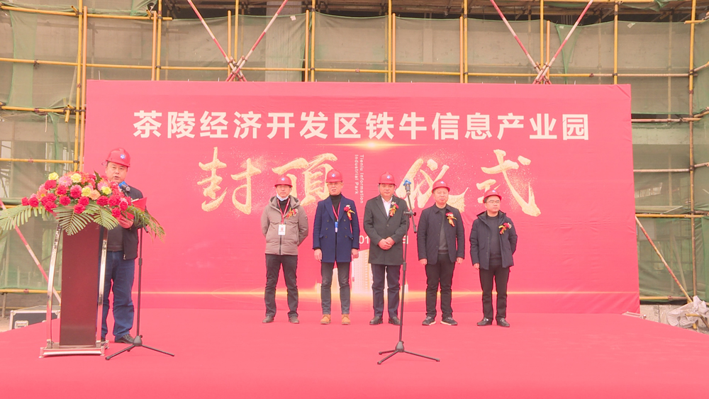 地产·铁牛电子信息产业园项目主体结构封顶
