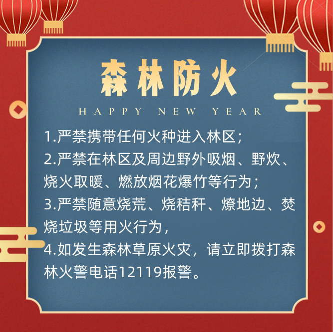株洲市应急局发您一个春节安全锦囊，请收好