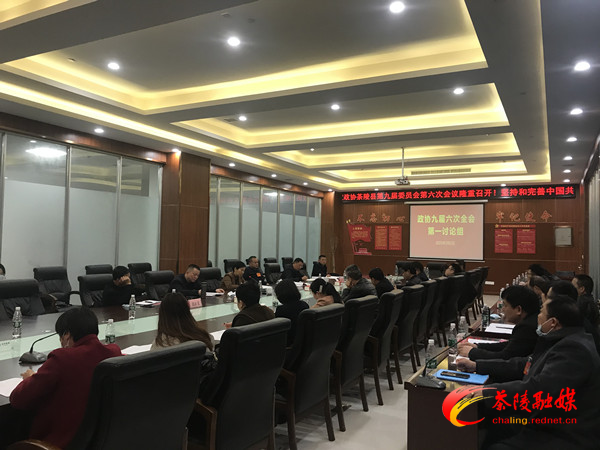 政协委员：分联组讨论 踊跃发言积极建言献策