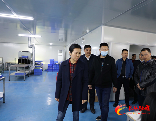 江小忠视察调研节后企业复工复产及部分项目建设情况