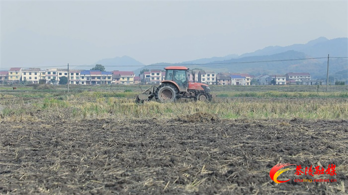 茶陵县完成种植结构调整任务7.67万亩