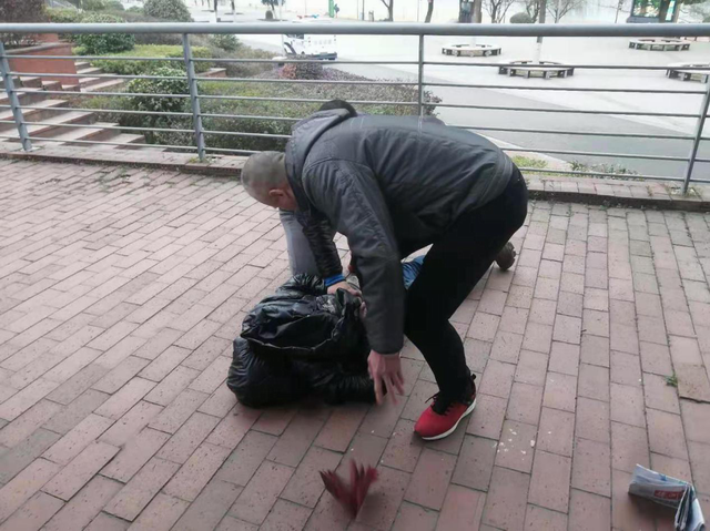 弘扬正气!株洲交通执法人员不惧身险勇擒小偷
