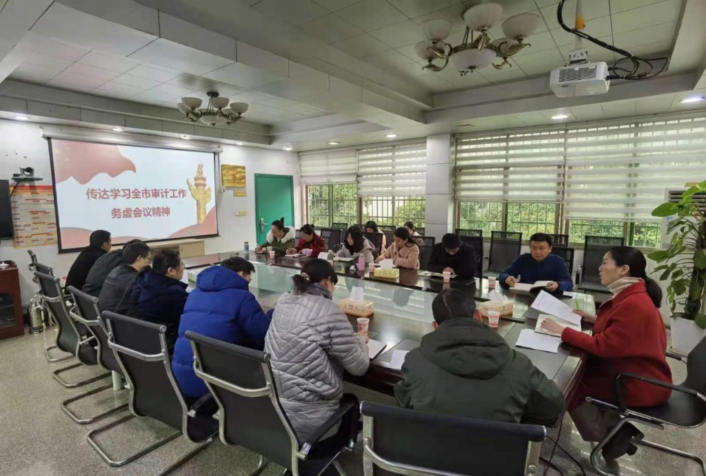 贯彻落实全市审计工作务虚会议精神 各县市区审计局这样做——
