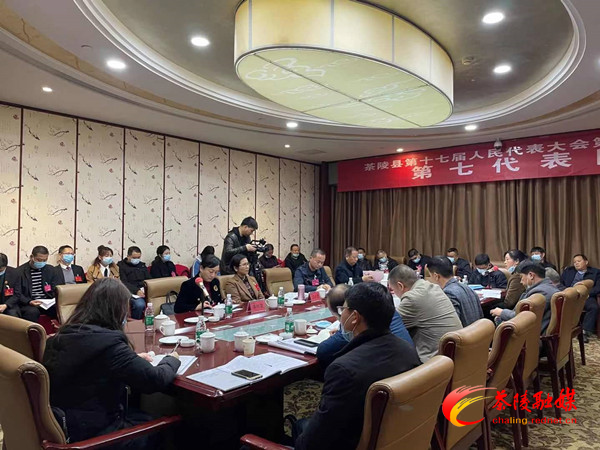 人大代表：分团讨论，传递民声民意