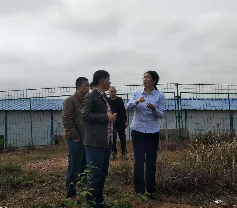 落实生态环境保护要求  对标全面大排查大整治