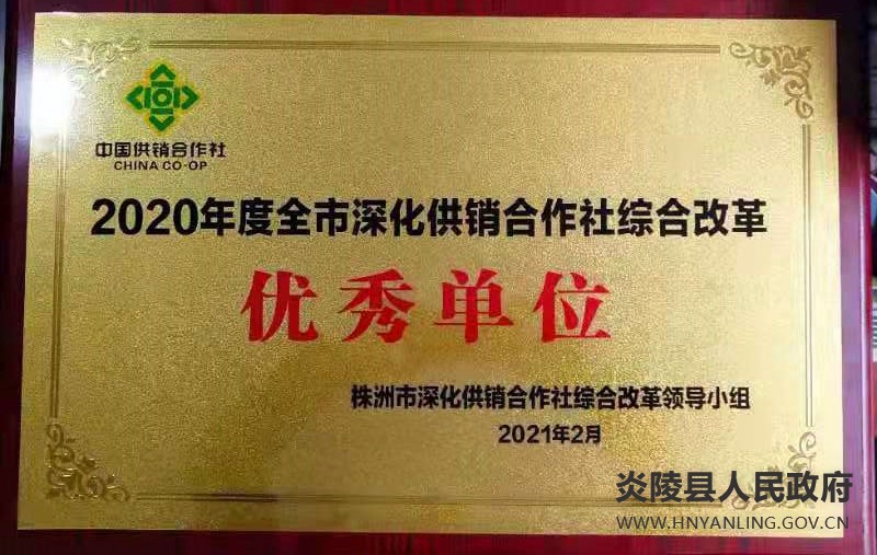 县供销联社：供改创佳绩   奋进新征程