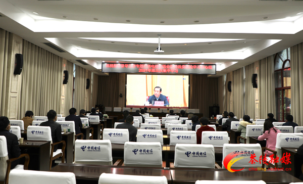 省委巡视指导督导工作专题培训电视电话会议暨县委理论学习中心组2021年第三次集中学习会召开