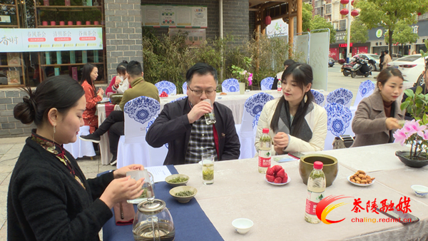 茶陵春茶飘香时茶友评鉴传四方