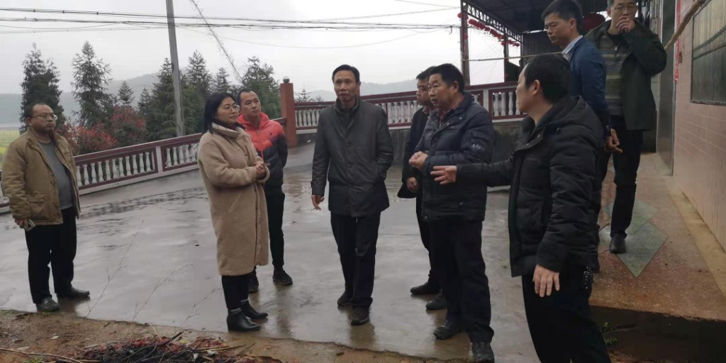 株洲市“三个维度”扎实开展地质灾害 汛前排查