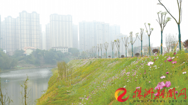 中流击水 破题不止——株洲住建“十三五”成就特刊