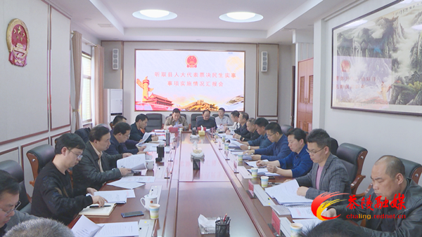 2021年茶陵县人大代表票决民生实事事项实施情况汇报会议召开