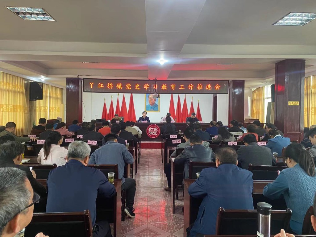 丫江桥镇召开党史学习教育工作推进会暨 第一次专题学习研讨