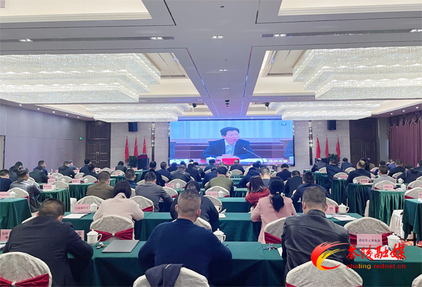 茶陵县组织收听收看株洲市传达学习全国“两会”精神电视电话会议
