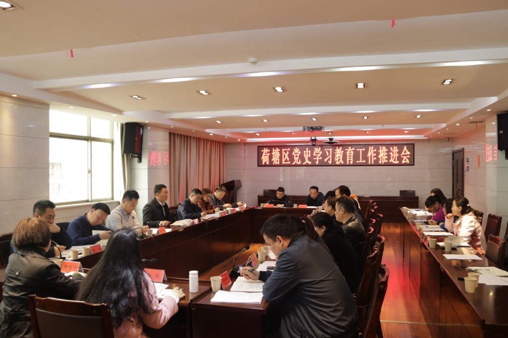 荷塘区召开党史学习教育工作推进会