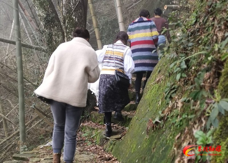 茶陵县开展丰富多彩的活动庆祝“三八”国际妇女节