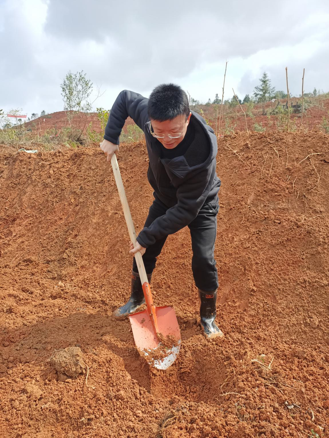 推进绿色株洲建设  服务乡村振兴大局 ——株洲市林业局组织开展全民义务植树活动