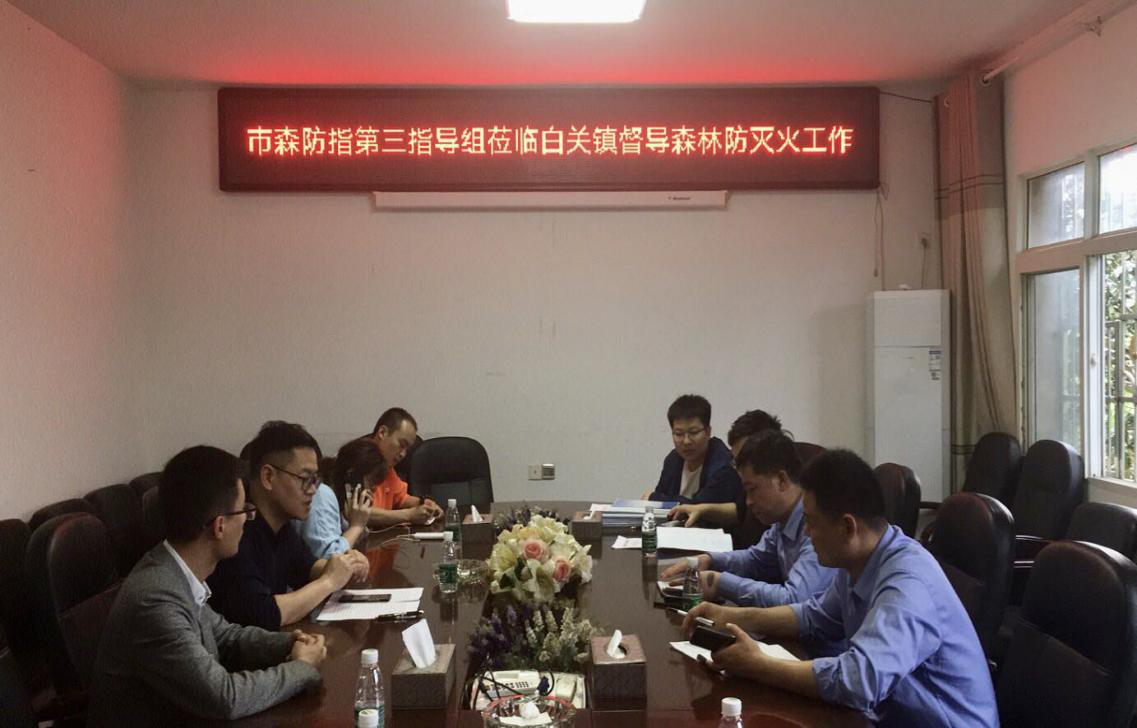 市森指办来我区督查清明前期森林防灭火工作