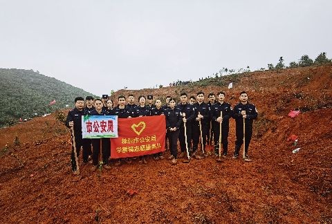 团委组织开展义务植树活动