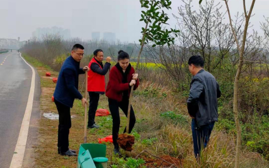 【谭桥街道】种下绿色  放飞希望