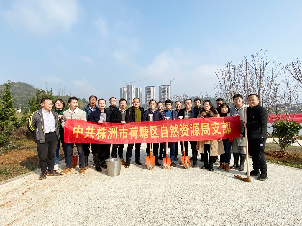 我为荷塘添“绿色”