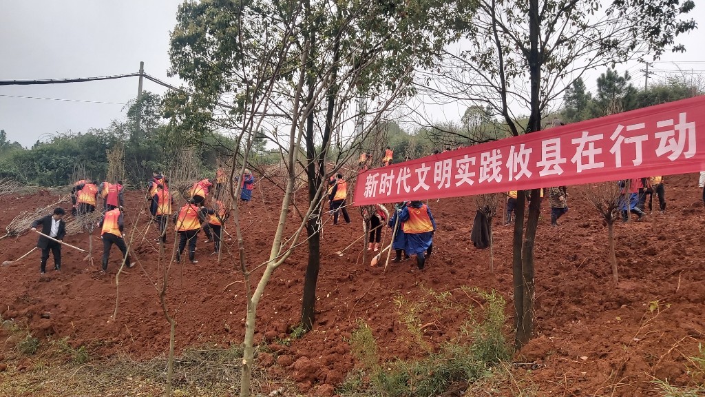 【党旗下的新时代文明实践】康月林等县领导参加“3·12”义务植树节活动