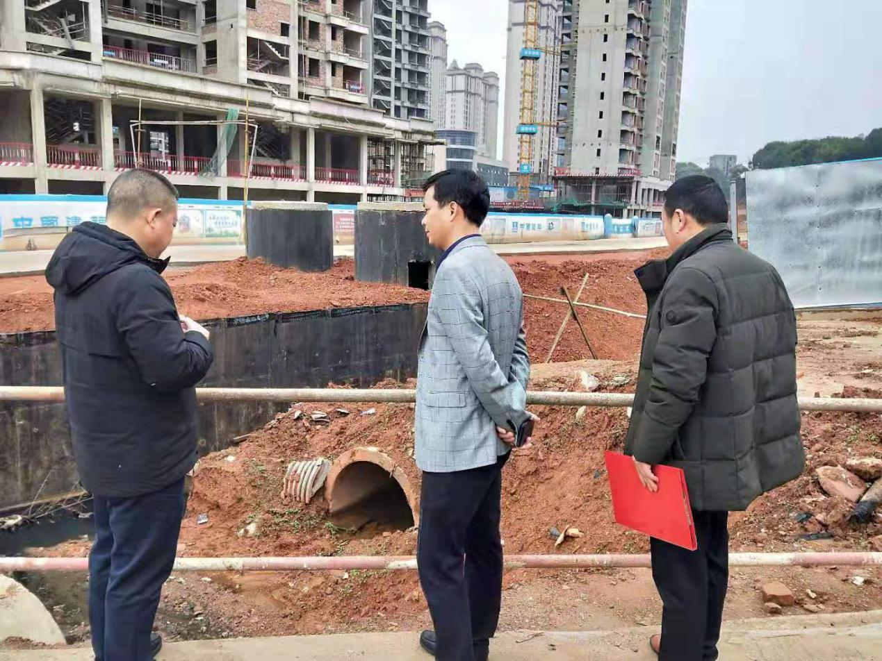 株洲市生态环境局荷塘分局查看部分黑臭水体整治效果