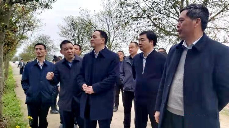 副市长顾峰来攸调研春耕生产工作