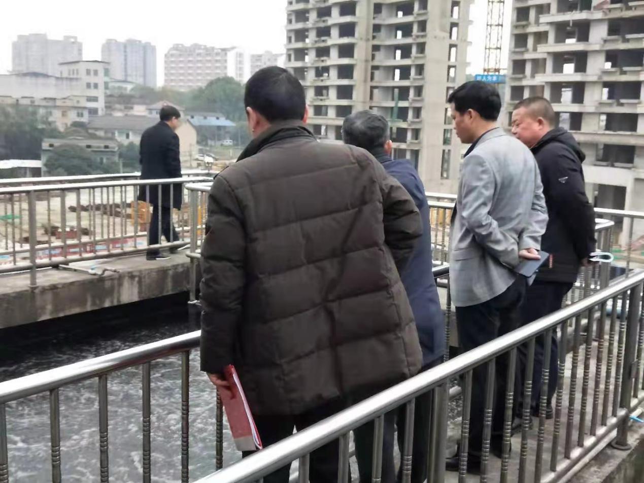 株洲市生态环境局荷塘分局查看部分黑臭水体整治效果