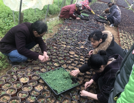 荷塘区：上好“新春第一课” 当好基层“领头羊”