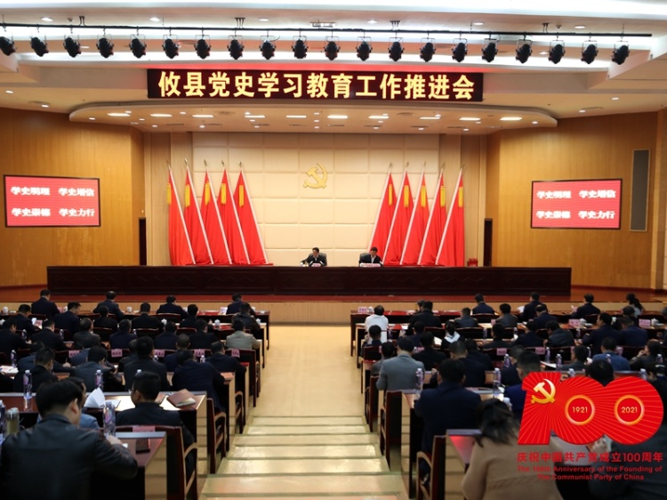 【学党史 开新局】攸县召开党史学习教育工作推进会