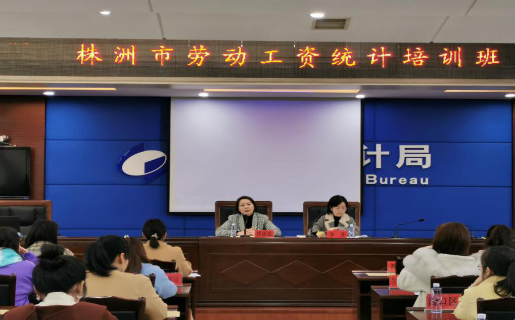 株洲市举办劳动工资统计培训班