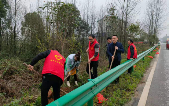 【谭桥街道】种下绿色  放飞希望