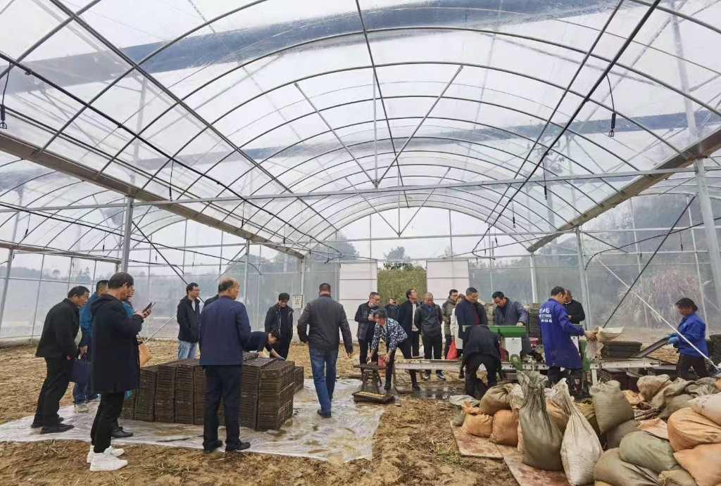 荷塘区农业农村局组织春耕生产早稻育秧技术培训