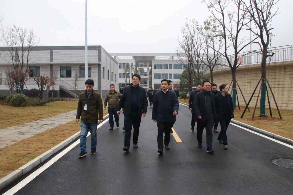罗鹏程带队调研黑臭水体整治工作