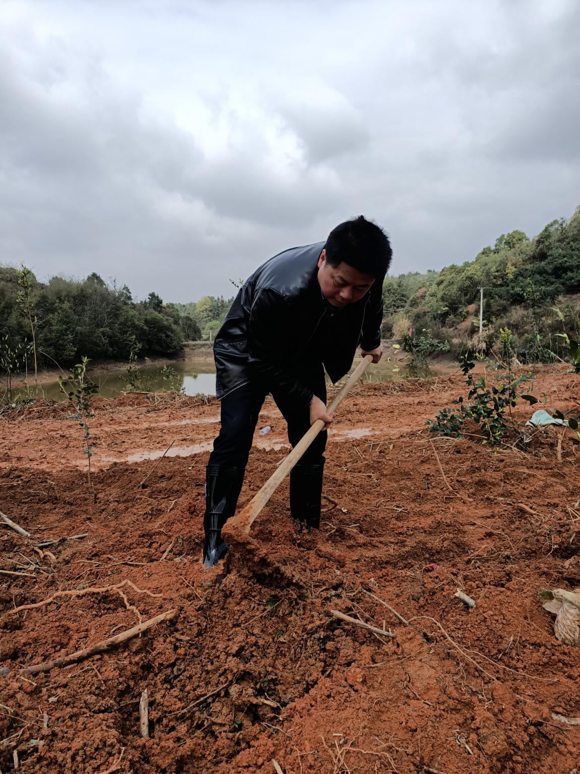 推进绿色株洲建设  服务乡村振兴大局 ——株洲市林业局组织开展全民义务植树活动