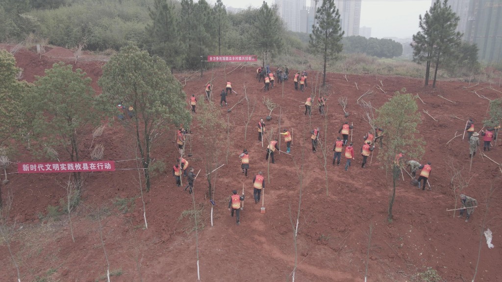 【党旗下的新时代文明实践】康月林等县领导参加“3·12”义务植树节活动